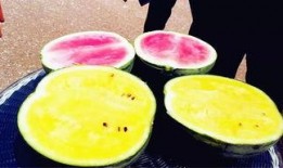 52吃瓜爆料免费吃瓜视频,免费畅享热门吃瓜视频盛宴